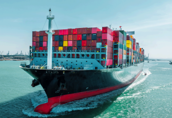 Marine Cargo Survey